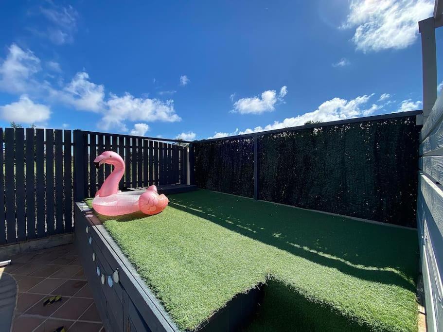 Comfortable Family House With Pool And Jacuzzi Costa De Antigua Dış mekan fotoğraf